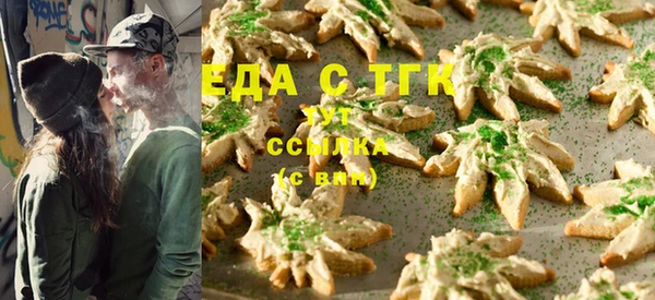 индика Арсеньев