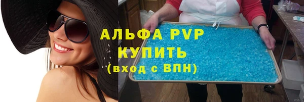 индика Арсеньев