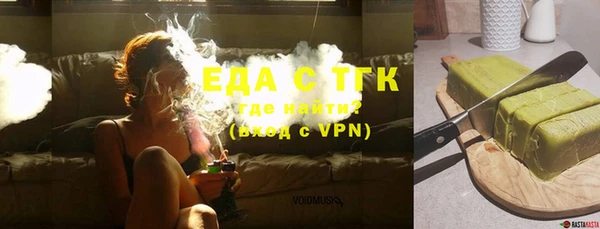 индика Арсеньев