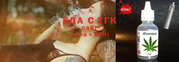 индика Арсеньев