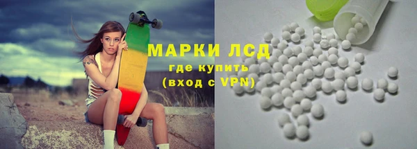 индика Арсеньев
