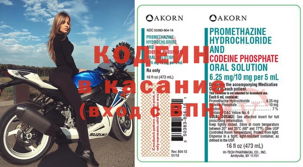 индика Арсеньев