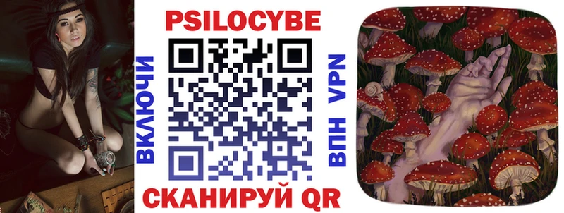 Псилоцибиновые грибы ЛСД  продажа наркотиков  гидра зеркало  Копейск 