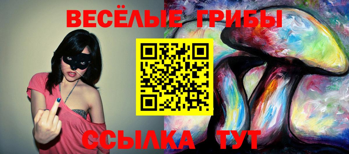 Псилоцибиновые грибы MAGIC MUSHROOMS  Вход с VPN  Галлюциногенные грибы Psilocybine cubensis  Копейск 